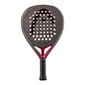 Coello Motion 2026
